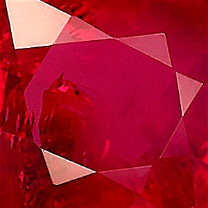 product close up Product closeup