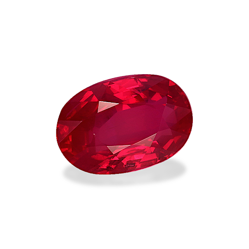 Product image-1 Product image-1