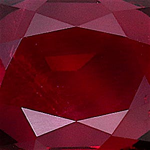 product close up Product closeup