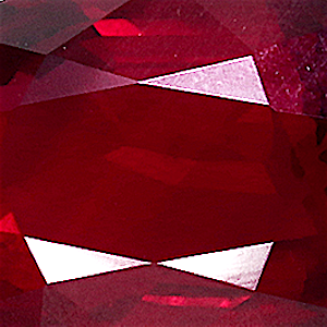 product close up Product closeup