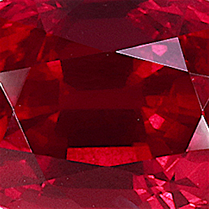 product close up Product closeup