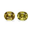 Picture of Lime Green Mali Garnet 6.28ct - Pair (GG0006)