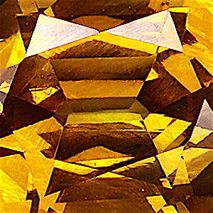 product close up Product closeup