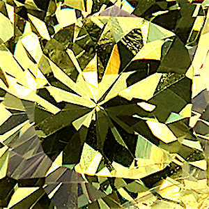 product close up Product closeup