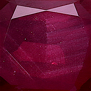 product close up Product closeup