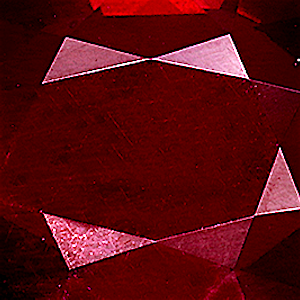 product close up Product closeup