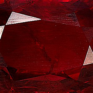 product close up Product closeup