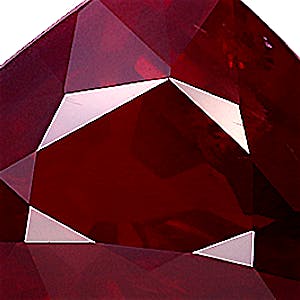 product close up Product closeup