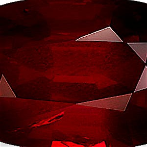 product close up Product closeup