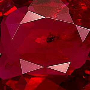 product close up Product closeup