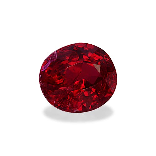 Product image-1 Product image-1