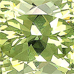 product close up Product closeup