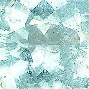 product close up Product closeup