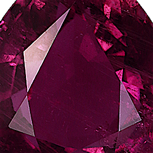 product close up Product closeup