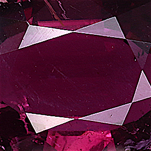 product close up Product closeup