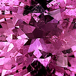 product close up Product closeup