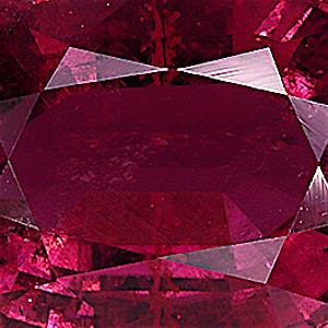 product close up Product closeup