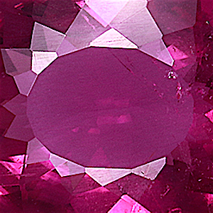 product close up Product closeup