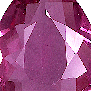 product close up Product closeup