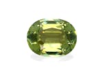 Picture of Pale Green Cuprian Tourmaline 17.00ct (MZ0242)