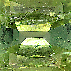 product close up Product closeup