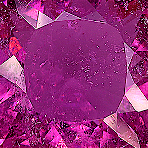 product close up Product closeup