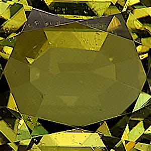 product close up Product closeup