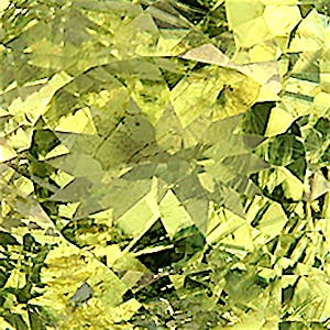 product close up Product closeup