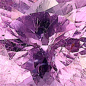 product close up Product closeup