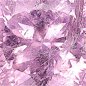 product close up Product closeup