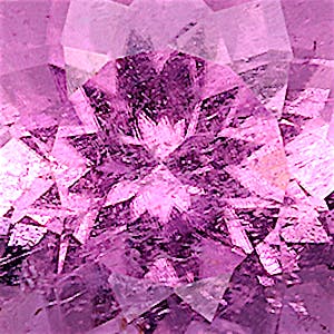 product close up Product closeup