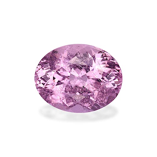 Product image-1 Product image-1