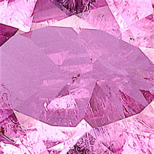 product close up Product closeup