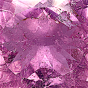 product close up Product closeup