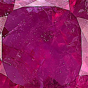 product close up Product closeup