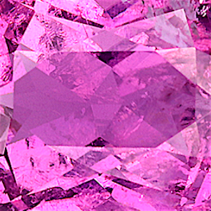 product close up Product closeup