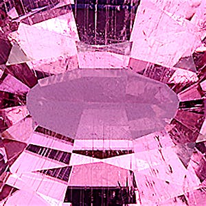 product close up Product closeup