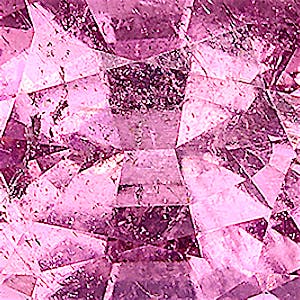 product close up Product closeup