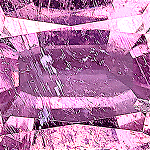 product close up Product closeup