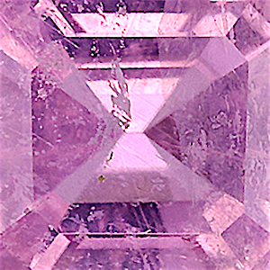 product close up Product closeup