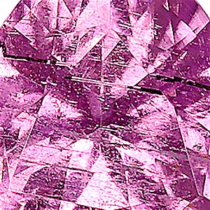 product close up Product closeup