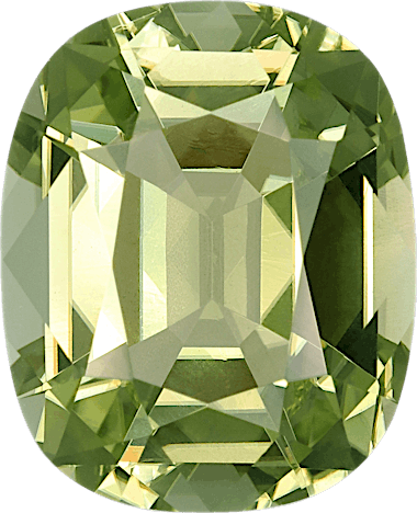 MZ0461 JewelryReady
