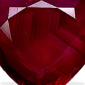 product close up Product closeup