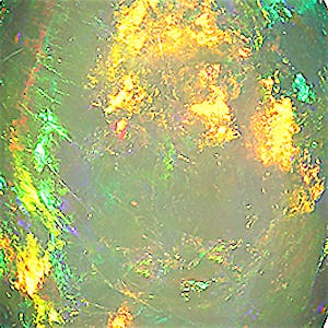 product close up Product closeup