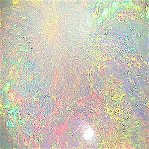 product close up Product closeup