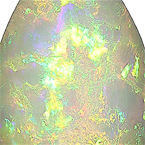 product close up Product closeup