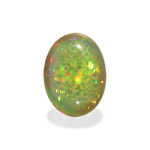 Product image-1 Product image-1