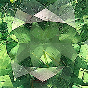 product close up Product closeup