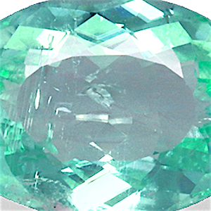 product close up Product closeup