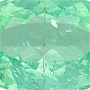 product close up Product closeup